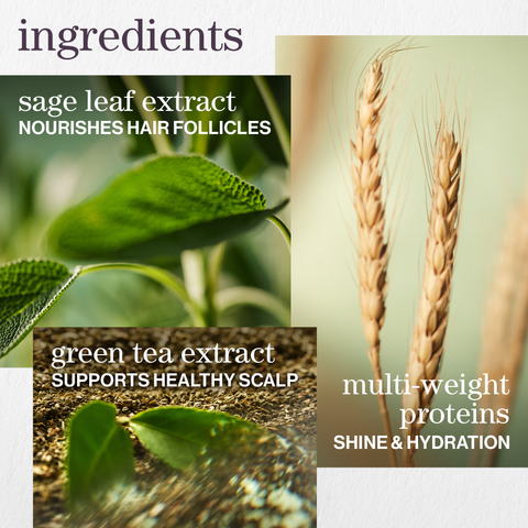 REVITALISANT HYDRATE