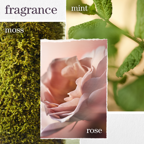 REVITALISANT HYDRATE