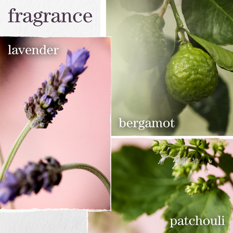 SHAMPOING HYDRATE SHEER