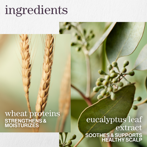 REVITALISANT HYDRATE SHEER