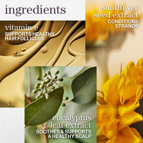 SHAMPOING PURE VOLUME