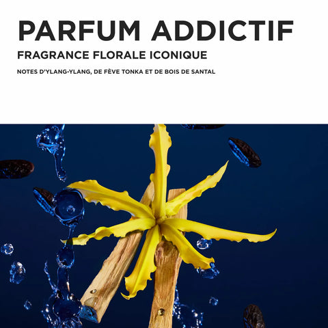 Ensemble des Fêtes Kérastase Nutritive