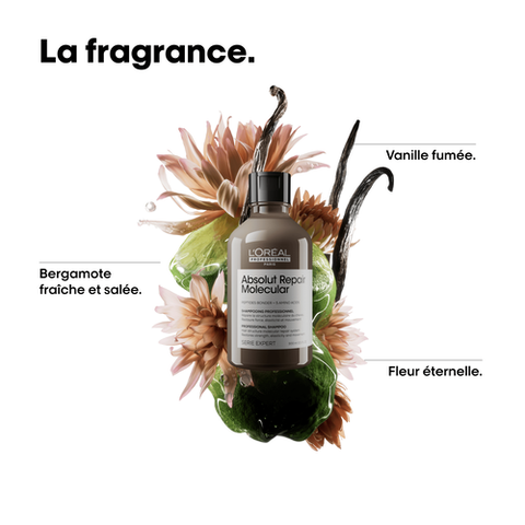 Absolut Repair Molecular Shampooing Professionnel Recharge