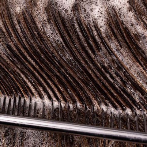 Shampooing Hydrate Sheer