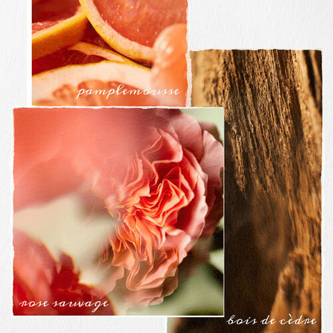 Revitalisant Pure Volume