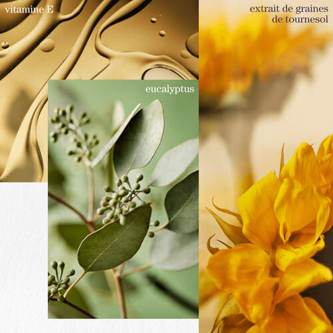 Shampooing Pure Volume