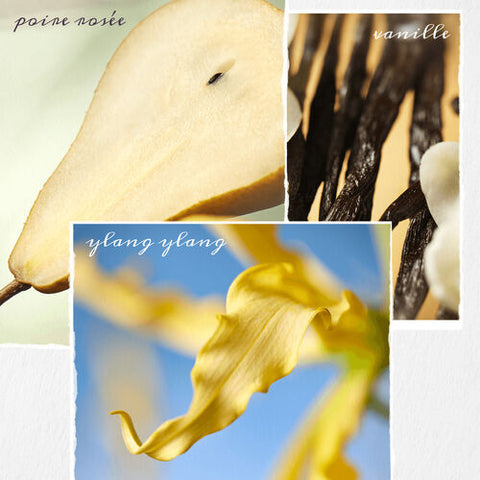 Revitalisant Nanoworks Gold