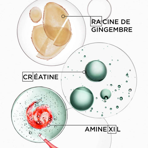Routine épaississante Genesis Homme