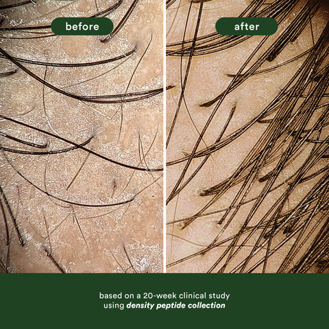 Verb - Shampooing Densité aux Peptides